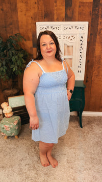 Eva Gingham Sundress | Blue