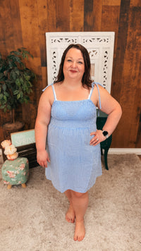 Eva Gingham Sundress | Blue