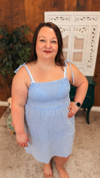 Eva Gingham Sundress | Blue