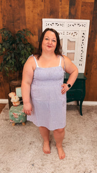 Eva Gingham Sundress | Purple